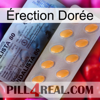 Érection Dorée 44